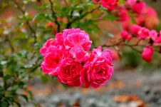 2017-11-18-2994 - Kopie.webp
