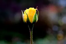 2017-11-18-2996 - Kopie.webp