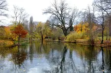 2017-11-18-3012 - Kopie.webp