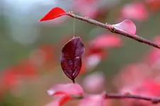 2017-11-18-2991 - Kopie.webp