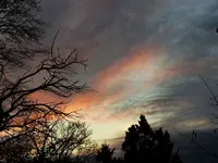 image003.webp