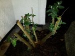 20171119_185556.jpg