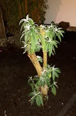 20171119_185744.webp