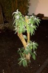 20171119_185744.jpg