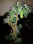 20171119_185805.jpg