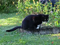 IMG_2293 v (2).webp