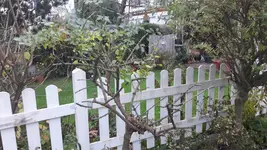 20171120_075421.webp