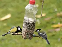 image022.webp