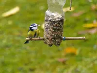 image023.webp