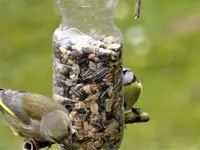image019.webp
