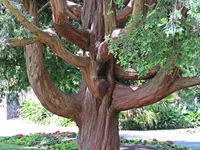 IMG_1970v (2).webp