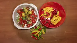 20171121_160246.jpg