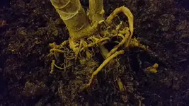 20171121_170929.jpg