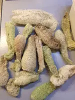 2017-11-21 Luffa zum putzen.webp