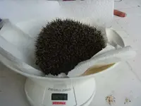 BILD8522.JPG