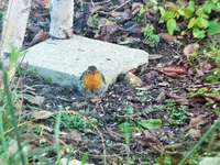 DSCF0657 (2).webp