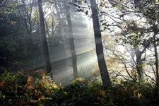 IMG_4562(1).webp