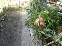 DSC02493.webp
