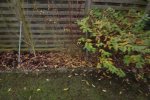 K1024_IMG_6024.JPG