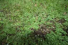 K1024_IMG_6018.JPG