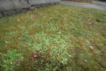 K1024_IMG_6034.JPG