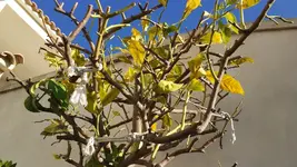IMG_20171126_101347.jpg