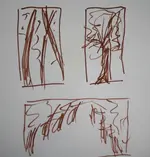 baum2.webp