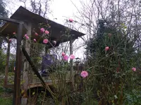 P1100435.webp