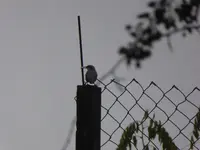 P1100447.JPG