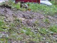 P1100729.webp