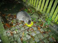 IMGP5566.webp