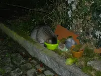 IMGP5556.webp