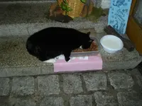 IMGP5557.webp