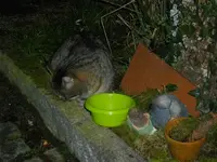 IMGP5559.webp