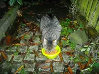 IMGP5560.webp