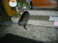 IMGP5561.webp