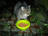 IMGP5562.webp