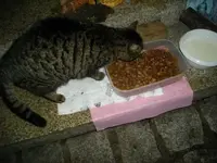 IMGP5564.webp