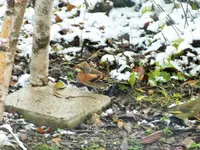 DSCF0663 (2).webp