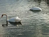 DSCF0668 (2).webp
