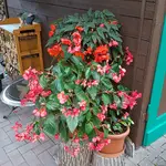 20171022_124809.jpg