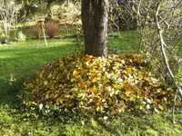 BILD8526.webp