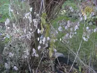 BILD8535.webp