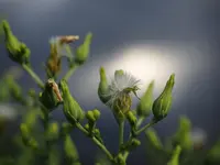 003.webp