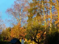 20171119_155527.webp