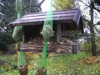 BILD8511.JPG