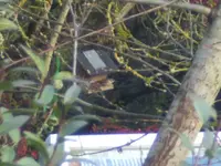 BILD8520.webp
