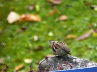 image007.webp