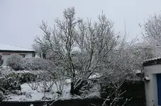 P1120765.webp