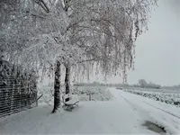 DSC02988.webp